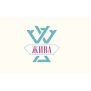 Логотип компании Центр Жива (Алматы)