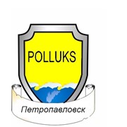 Логотип компании Polluks (Поллукс), ТОО (Петропавловск)