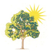 Логотип компании Сифания-Экотехника, ЧПТУП (Брест)