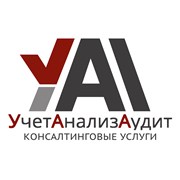 УчётАнализАудит