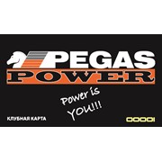 Логотип компании Pegas Power (Пегас Поуер), ИП (Алматы)