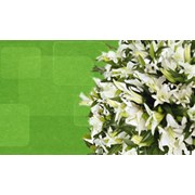 Логотип компании Интернет-Магазин искусственных цветов (Харьков)