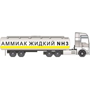 Логотип компании АВТОДОМ УКРАИНА, ООО (Рубежное)