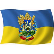 Логотип компании Строительство элеваторов,ООО (Полтава)
