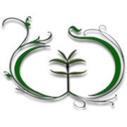 Логотип компании AgroSeed, ООО (Киев)