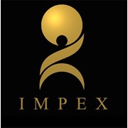 Логотип компании БС-Импекс (BS-Impex), ТОО (Темиртау)