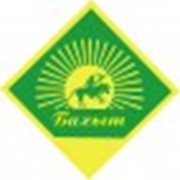 Логотип компании Almaty Oil Products, ТОО (Костанай)