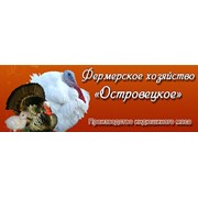 Логотип компании Островецкое, Фермерское хозяйство (Изабелино)