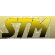 Логотип компании СТМ (СпортТехноМаркет), ООО (Жуковский)
