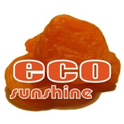Логотип компании ECO sunshine (ЕКО саншайн), ТОО (Шымкент)
