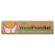 Логотип компании WoodPromNet (вудпромнет), ООО (Киев)