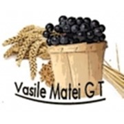 Логотип компании Vasile Matei(Василий Матей), Gospodăria Țărănească (Кишинев)