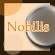 Логотип компании Nobilis_Interiors, СПД (Дизайн интерьеров) (Киев)