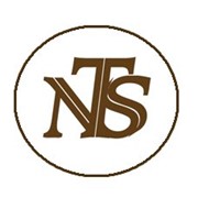 Логотип компании New Technologies Stone (Нью Технолоджис Стоун), ООО (Дятьково)