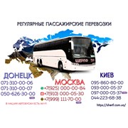 Логотип компании “ШЕРИФ ТУР LTD“ (Донецк)