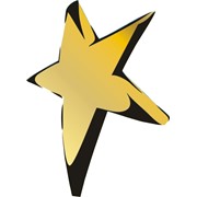 Логотип компании Айс Стар (Ice star), ООО (Вишневое)