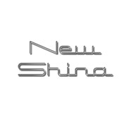 Логотип компании NewShina, Компания (Киев)