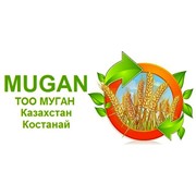 Логотип компании МУГАН, ТОО (Костанай)