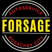 Логотип компании Forsage (Рогачев)