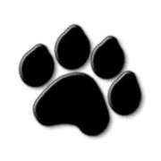 Логотип компании Black cat (Блэк кэт), ООО (Тула)