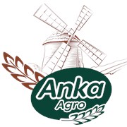 Логотип компании Anka Group (Кокшетау)