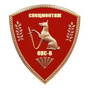 Логотип компании Спецмонтаж-ОПС-В, ИП (Астана)