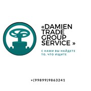 Логотип компании «DAMIEN TRADE GROUP SERVICE» (Ташкент)