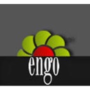 Логотип компании Энго, ООО (Киев)