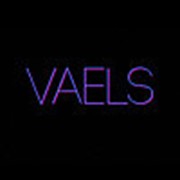 Логотип компании VAELS (Новосибирск)