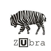 Логотип компании Zubra by Узда (Узда)
