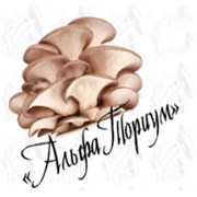 Логотип компании АльфаТориум (Гомель)
