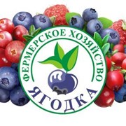 Логотип компании КФХ “Ягодка“ (п.Зеленый Бор)