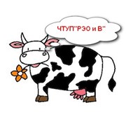 Логотип компании РЭО и В, ЧТУП (Слуцк)
