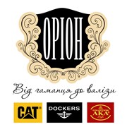 Логотип компании Orion (Орион), ЧП (Черновцы)