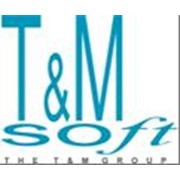 Логотип компании ТиМ Консалтинг (Алмалыбак)