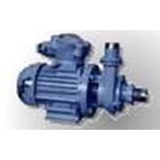 Клематис крупноцветковый раннецветущий Вероникас Чойс (контейнер 3л)