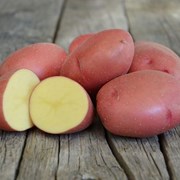 Картофель сорт Розара, калибр 5+  фото