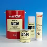 Масло для пищевого оборудования Молислип FMO ISO 46 (Food Machihe OIL), 5 ltr фото