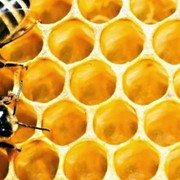 Мед пчелиный Каштан фото