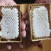 Мед в сотах, сотовый мёд - майский, в минирамках фото