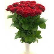 Букет цветов из роз,розы,букет из роз “Фридом“ фото