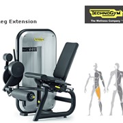 Тренажеры Technogym для дома и спортзалов. Купить тренажер Leg Extension фото
