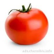 Семена томатов, помидоров продажа, опт Украина фотография