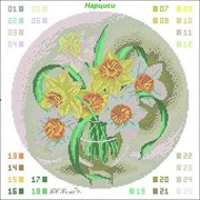 Канва серия цветы Нарциссы БС Солес