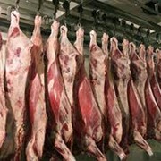 Мясо свиное в Молдове фото