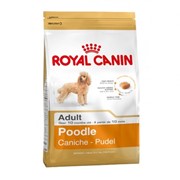 Poodle Royal Canin корм для щенков и взрослых собак, От 10 месяцев, Пудель, Пакет, 1,5кг фотография