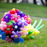 Букеты и цветы из воздушных шаров в Гомеле фото