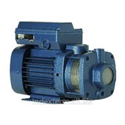 Pompa orizontala multetajata Biral BM 3-4 фото