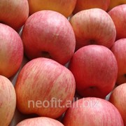 Яблоки Фуджи фото