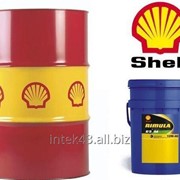 Моторное масло Shell Rimula R5 М 10W40 бочка 209 л